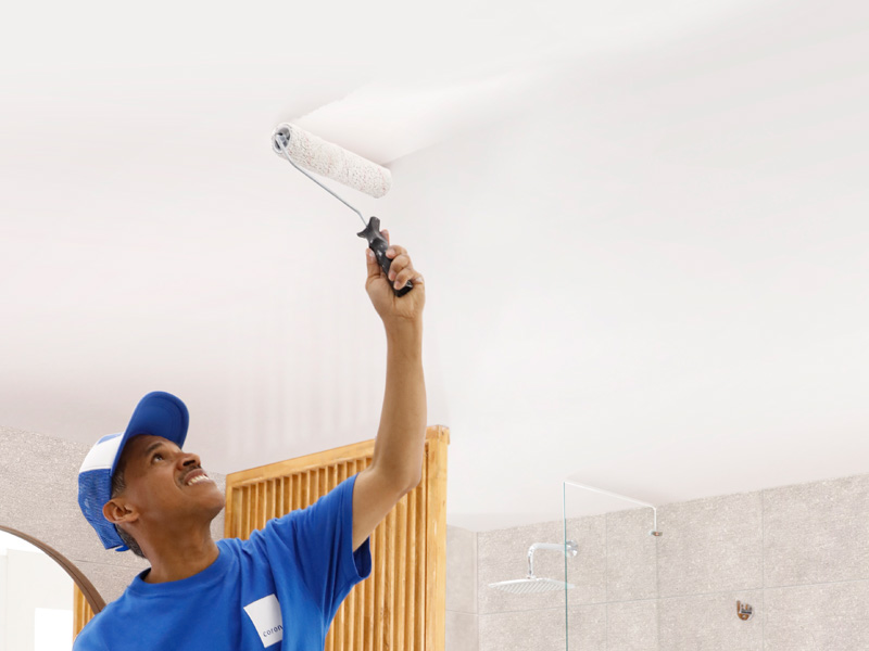 Pinturas para techo