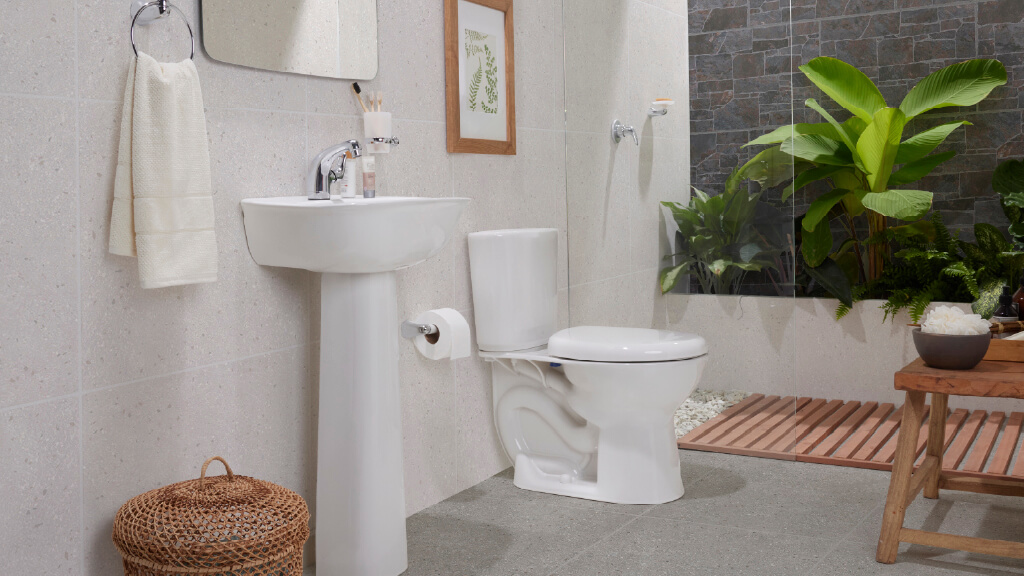 Ambiente con Sanitario aluvia plus alongado