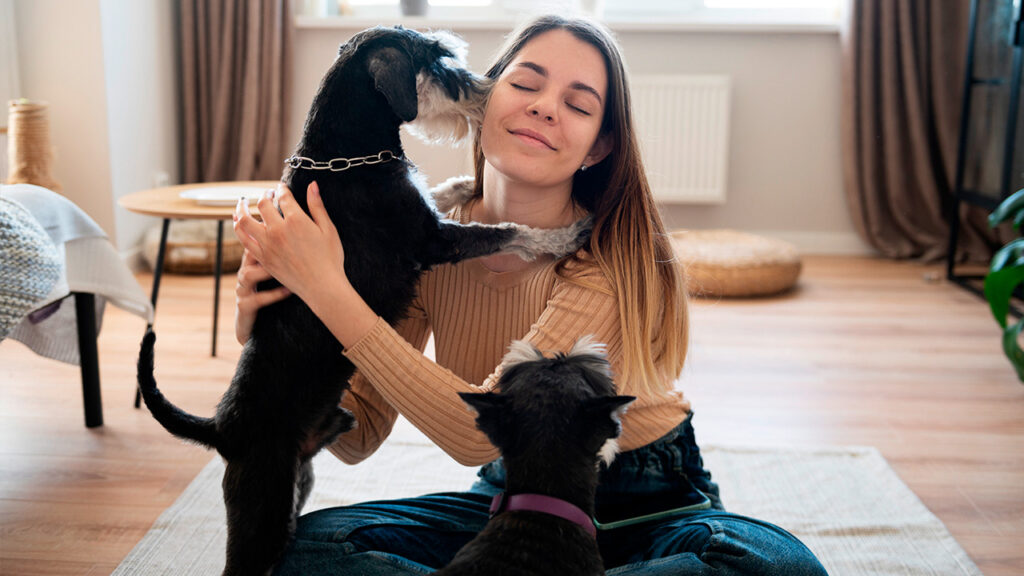 Materiales para tener una casa «pet-friendly»