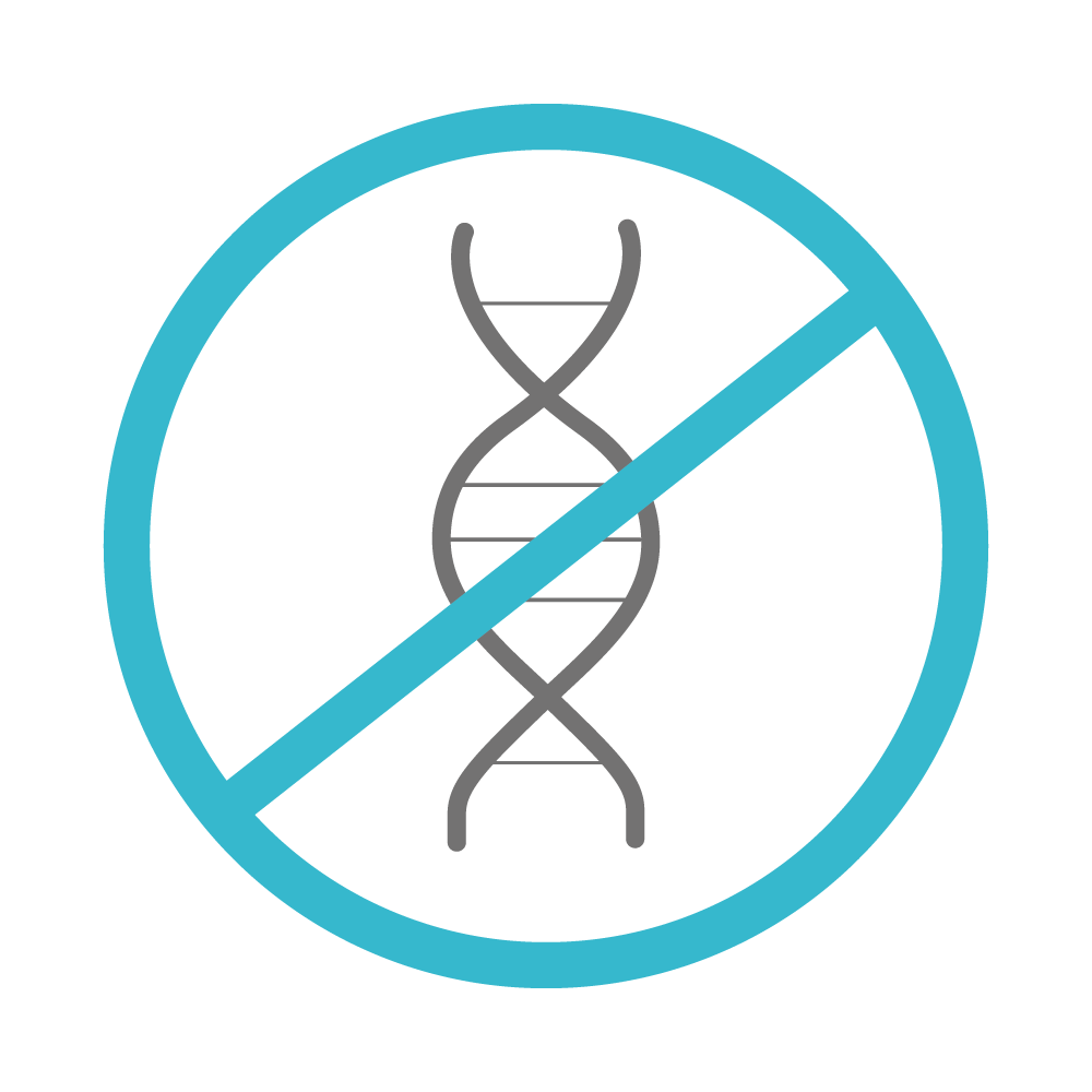 Inhibe la replicación del DNA del microorganismo