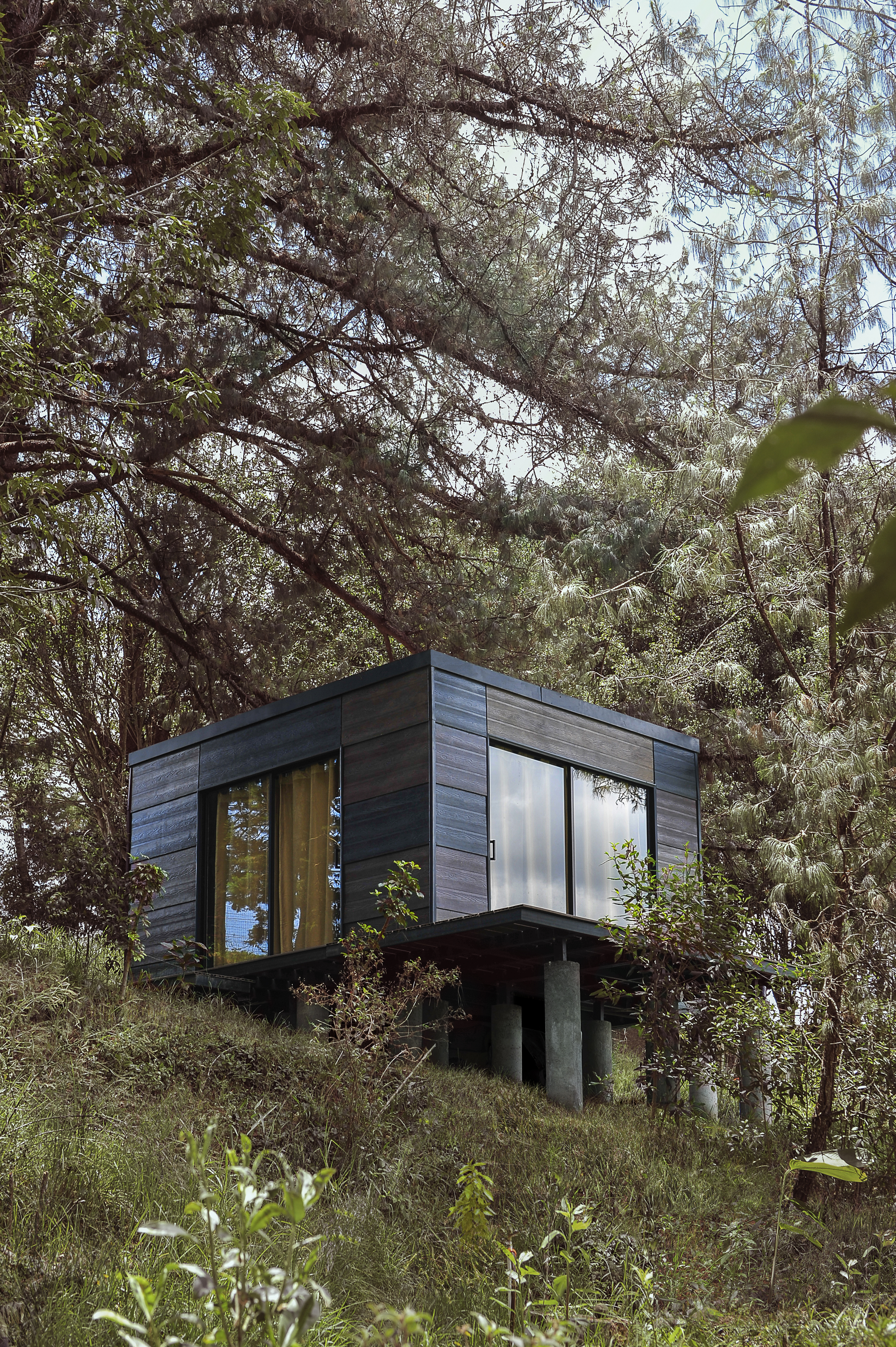 Refugio talla Nido proyecto real