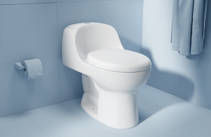 Sanitarios de una pieza